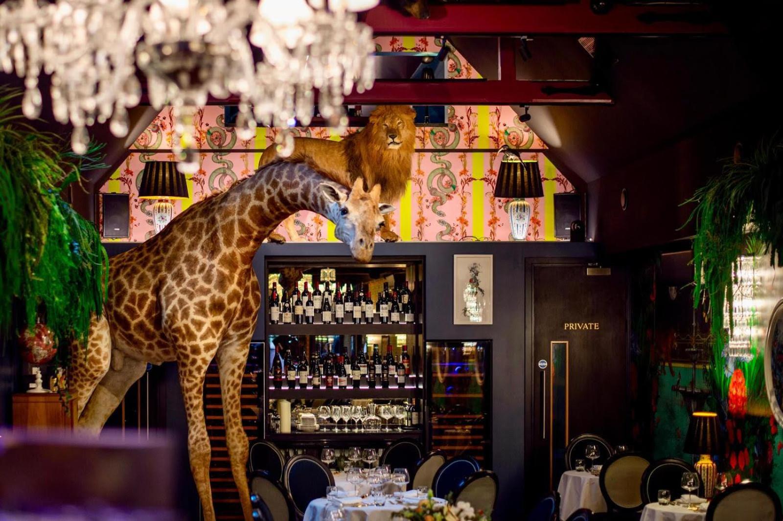 Hux Hotel, Kensington Лондон Екстер'єр фото